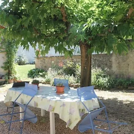 Fleurs De Gamay Au Coeur Du Beaujolais Lancié